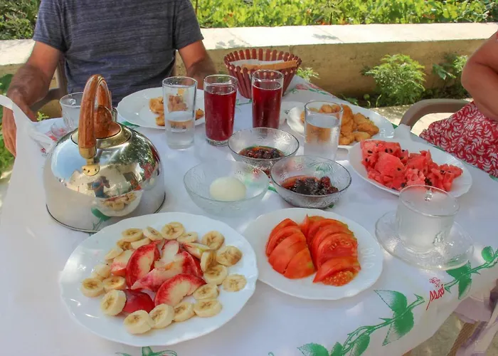 Guri 4* Gjirokaster